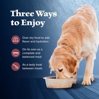 Image showing 6 th Blue Buffalo Wilderness Adult High-Protein Grain-Free Salmon and Chicken Grill Recipe Wet Dog Food, 12.5 oz.