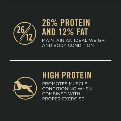 Image showing  Large Breed Adult Joint Health Shredded Blend Chicken and Rice Formula Dry Dog Food, 34 lb. Bag