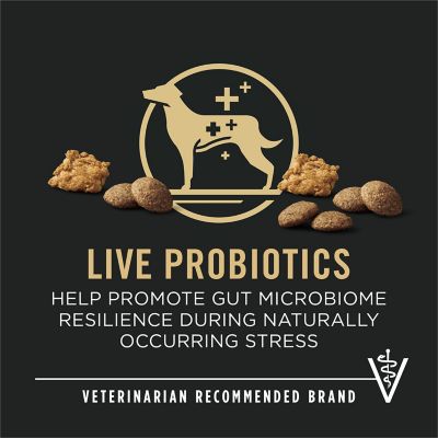 Image showing 5 th Purina Pro Plan Large Breed Adult Joint Health Shredded Blend Chicken and Rice Formula Dry Dog Food, 34 lb. Bag