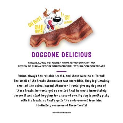 Image showing  Strips Original with Bacon Flavor Dog Treats, 40 oz. Pouch