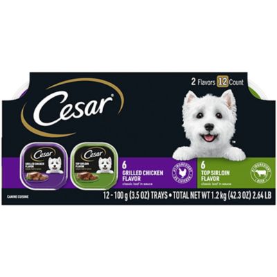 cesar wet dog food