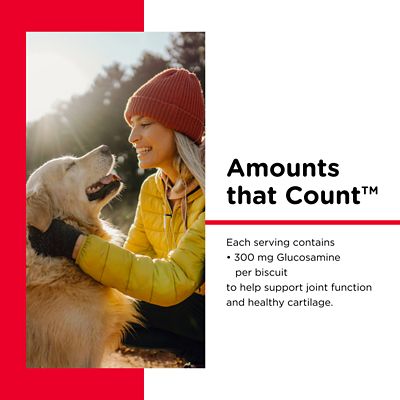 Image showing  Hip and Joint Extra Strength Supplement Biscuits for Large Dogs, Peanut Butter Flavor, 4 lb.