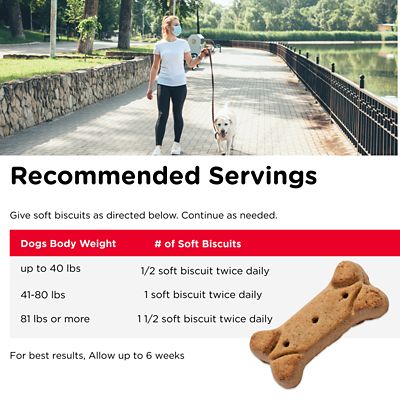 Image showing 5 th Nutri-Vet Hip and Joint Extra Strength Supplement Biscuits for Large Dogs, Peanut Butter Flavor, 4 lb.