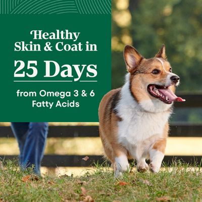 Image showing  Small Breed Adult Farm-Raised Chicken, Brown Rice & Sweet Potato Dry Dog Food