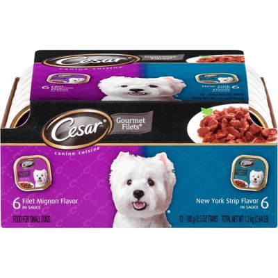 Cesar Filets Adult Beef Chunks in Sauce Wet Dog Food Variety Pack, 3.5 oz. Can, Pack of 12