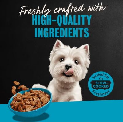 Image showing  Small Breed Adult Filet Mignon/NY Strip Filets in Gravy Wet Dog Food Variety pk., 3.5 oz., 12 pk.