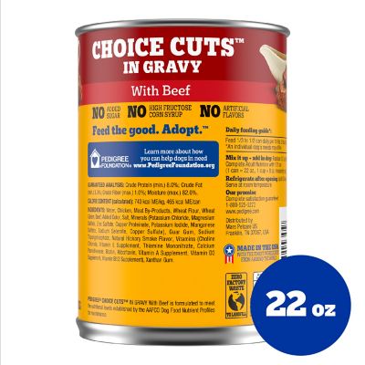 Image showing  Choice Cuts in Gravy Beef Wet Dog Food, 22 oz.