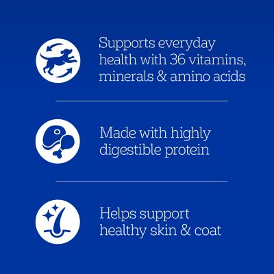 Image showing  Choice Cuts in Gravy Beef Wet Dog Food, 22 oz.