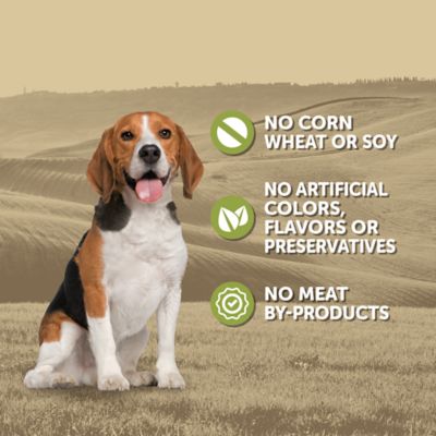 Image showing  Adult Chicken and Vegetable Stew Wet Dog Food, 13.2 oz.