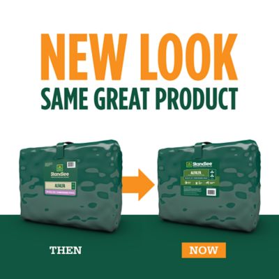 Image showing  Premium Western Forage Premium Alfalfa Grab and Go Compressed Hay Bale, 50 lb.