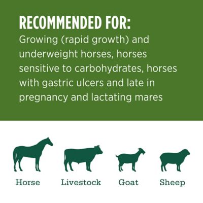 Image showing  Premium Western Forage Premium Alfalfa Grab and Go Compressed Hay Bale, 50 lb.