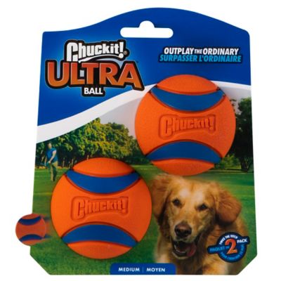 Chuckit! Medium Ultra Ball Dog Toys, 2-Pack