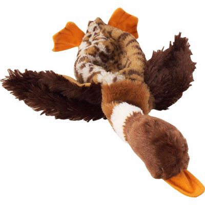 Image showing  Mallard Ducks Dog Toy