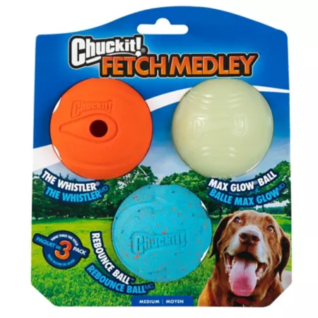 Chuckit! Assorted Pack of 3 Fetch Medley Balls Dog Fetch Toys