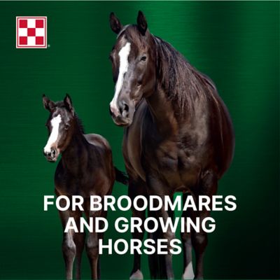 Image showing  Ultium Growth Formula Horse Feed, 50 lb. Bag