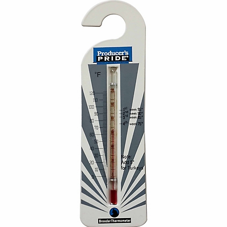 Producer's Pride Brooder Thermometer