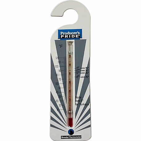 Producer's Pride Brooder Thermometer