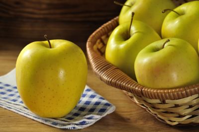 Pirtle Nursery 3.74 gal. Potted Golden Dorsett Apple Tree in #5 Pot
