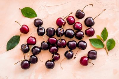 Image showing  3.74 gal. Black Tartarian Cherry #5 Tree