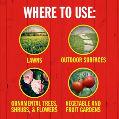 Image showing  1 gal. Ready-to-Use Liquid Pesticide