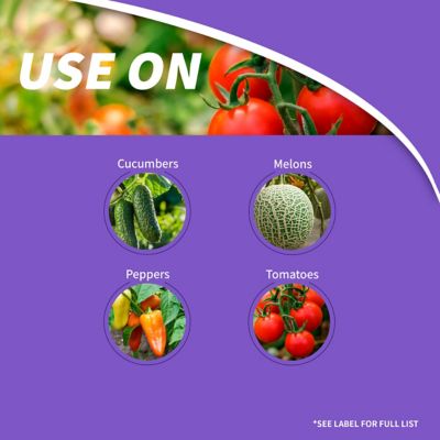 Image showing  32 oz. Rot-Stop Tomato Blossom End Rot Ready-to-Use Spray Garden Fertilizer for Calcium Deficiency in Plants