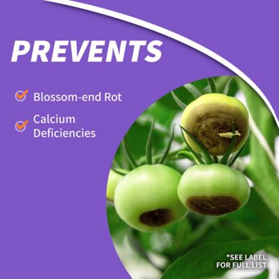 Image showing  32 oz. Rot-Stop Tomato Blossom End Rot Ready-to-Use Spray Garden Fertilizer for Calcium Deficiency in Plants