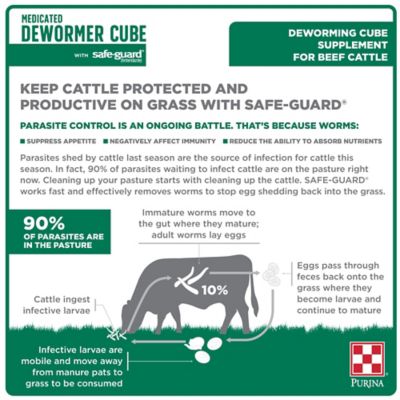 Image showing  Safe-Guard Cattle Cube Beef and Dairy Cattle Dewormer, 50 lb.