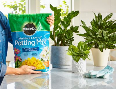Image showing  8 qt. Moisture Control Potting Mix