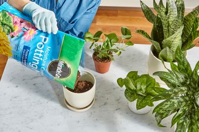 Image showing  8 qt. Moisture Control Potting Mix