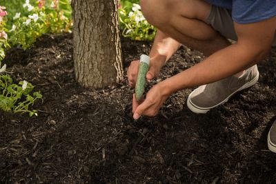 Image showing  Tree and Shrub Plant Food Spikes, 12-Pack