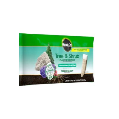 Image showing  Tree and Shrub Plant Food Spikes, 12-Pack