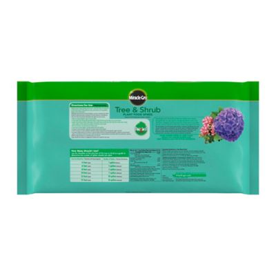 Image showing 5 th Miracle-Gro Tree and Shrub Plant Food Spikes, 12-Pack