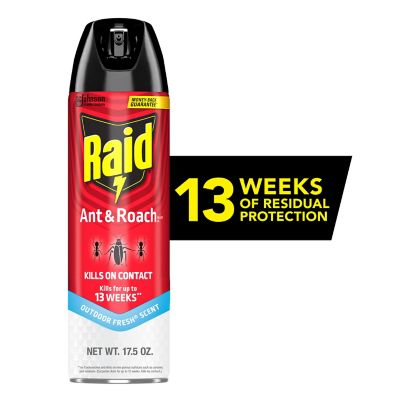 Image showing Raid Ant Roach OD Fresh 17.5 oz.