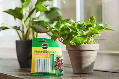 Image showing  1.1 oz. Indoor Plant Food Spikes, 24-Pack