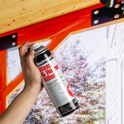 Image showing  18 oz. Pro Wasp and Hornet Killer Spray