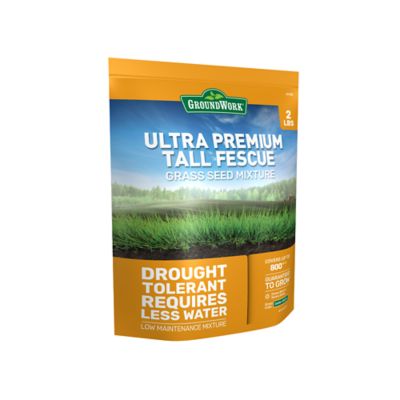 GroundWork 2 lb. Ultra Premium Tall Fescue Grass Seed Mixture