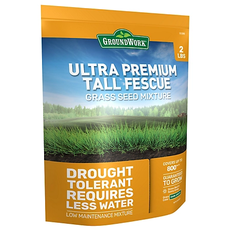 GroundWork 2 lb. Ultra Premium Tall Fescue Grass Seed Mixture