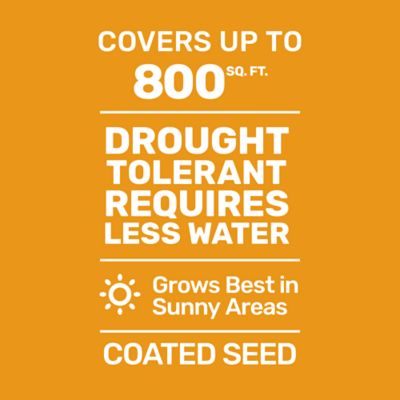 Image showing  2 lb. 700 sq. ft. Ultra Premium Tall Fescue Grass Seed Mixture