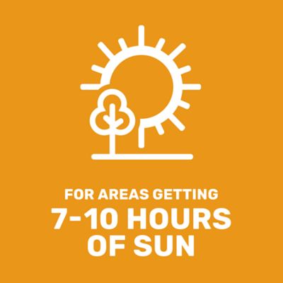 Image showing  2 lb. 700 sq. ft. Ultra Premium Tall Fescue Grass Seed Mixture