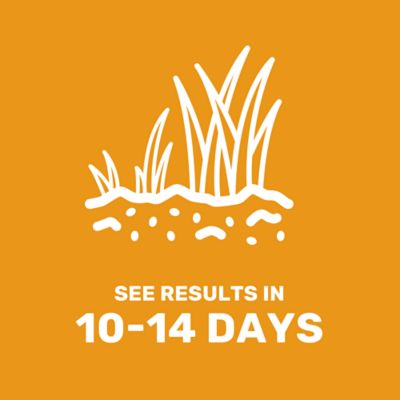 Image showing 5 th GroundWork 2 lb. 700 sq. ft. Ultra Premium Tall Fescue Grass Seed Mixture