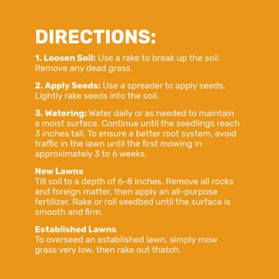Image showing 6 th GroundWork 2 lb. 700 sq. ft. Ultra Premium Tall Fescue Grass Seed Mixture