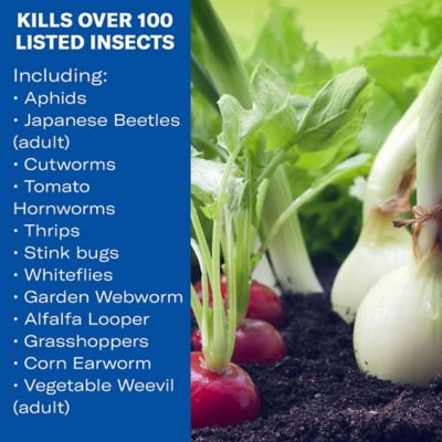 Image showing  32 fl. oz. Vegetable and Garden Insect Killer Spray Concentrate