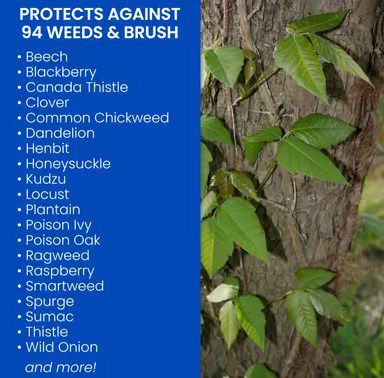 Image showing  32 oz. Brush Killer Plus Concentrate