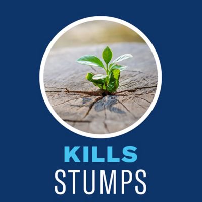 Image showing 7 th BioAdvanced 32 oz. Brush Killer Plus Concentrate