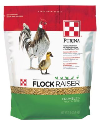 Purina Flock Raiser Crumbles Poultry Feed, 5 lb. Bag