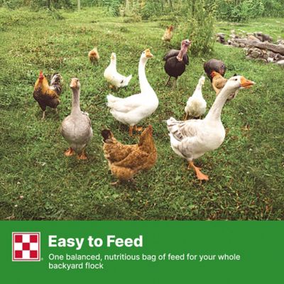 Image showing  Flock Raiser Crumbles Poultry Feed