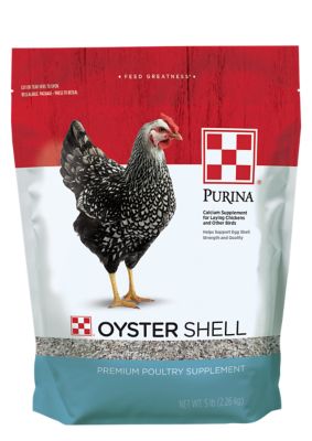 Purina Oyster Shell for Laying Hens, 5 lb. Bag