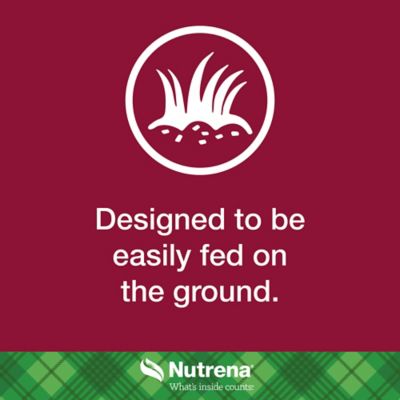 Image showing  Cattle Breeder Cottonseed Cube with 37% AN, 50 lb. Bag