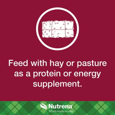 Image showing 5 th Nutrena NutreBeef Cattle Breeder Cottonseed Cube with 37% AN, 50 lb. Bag