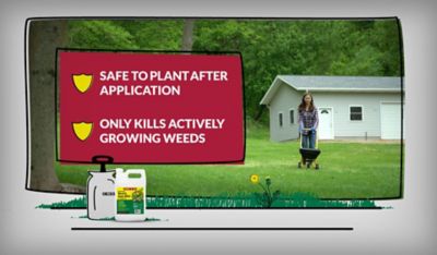 Image showing  1 gal. 41% Glyphosate Grass and Weed Killer Concentrate, Makes 85 gal.